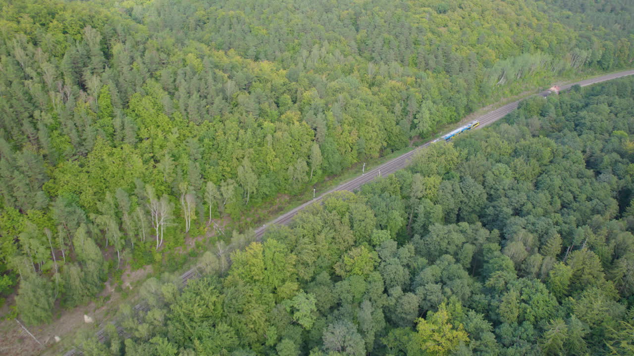 воздушный кадр поезда на рельсах в окружении лесных деревьев на закате - город гдыня на заднем плане, польша