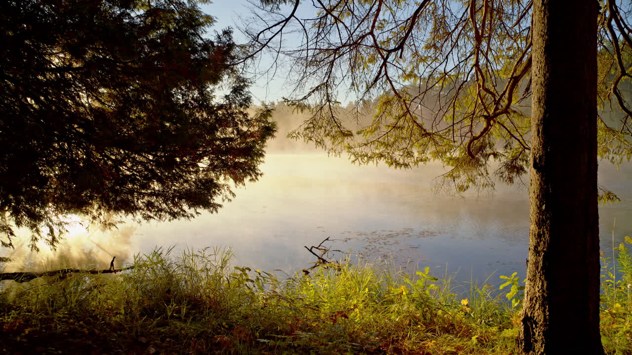 Cinematic dawn shot of fog and mist lifting from the Au Sable River