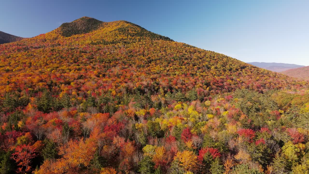 Drone flying over orange trees in fall in New England