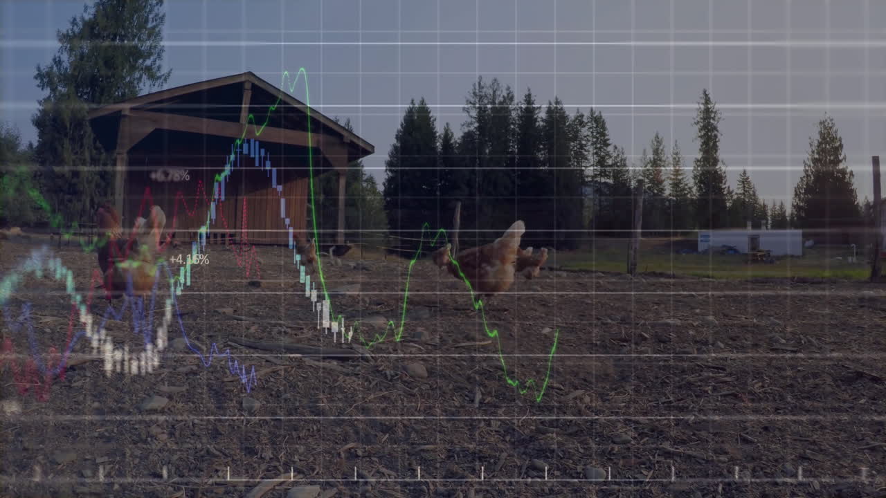 Ruskeat kanat nokkivat puuhakealustalla kanalan vieressä, päällekkäin talouskaavion ruudukko tasomuotoilussa.
