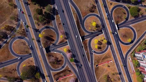 aerial view of yellow ipe trees in the streets of brasilia - brazil