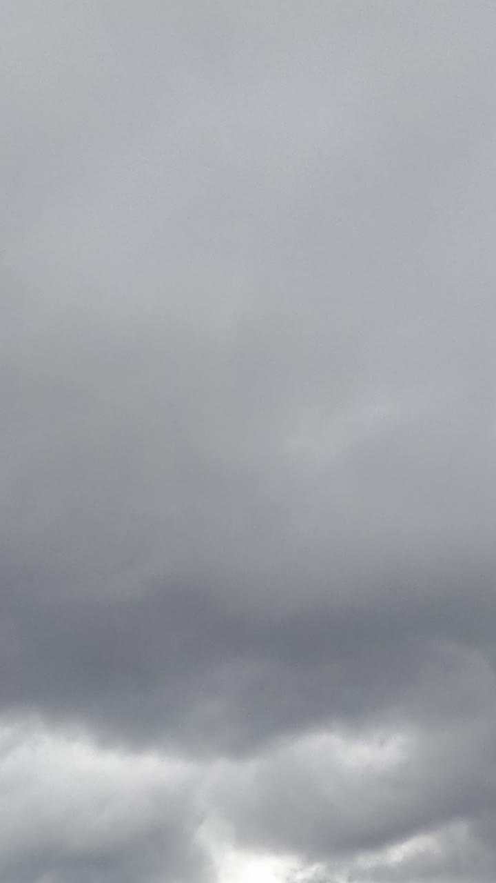 Grey clouds quickly fly along the skies. Horizon densely covered with cloudscape before rain. Low angle view. Timelapse. Vertical video
