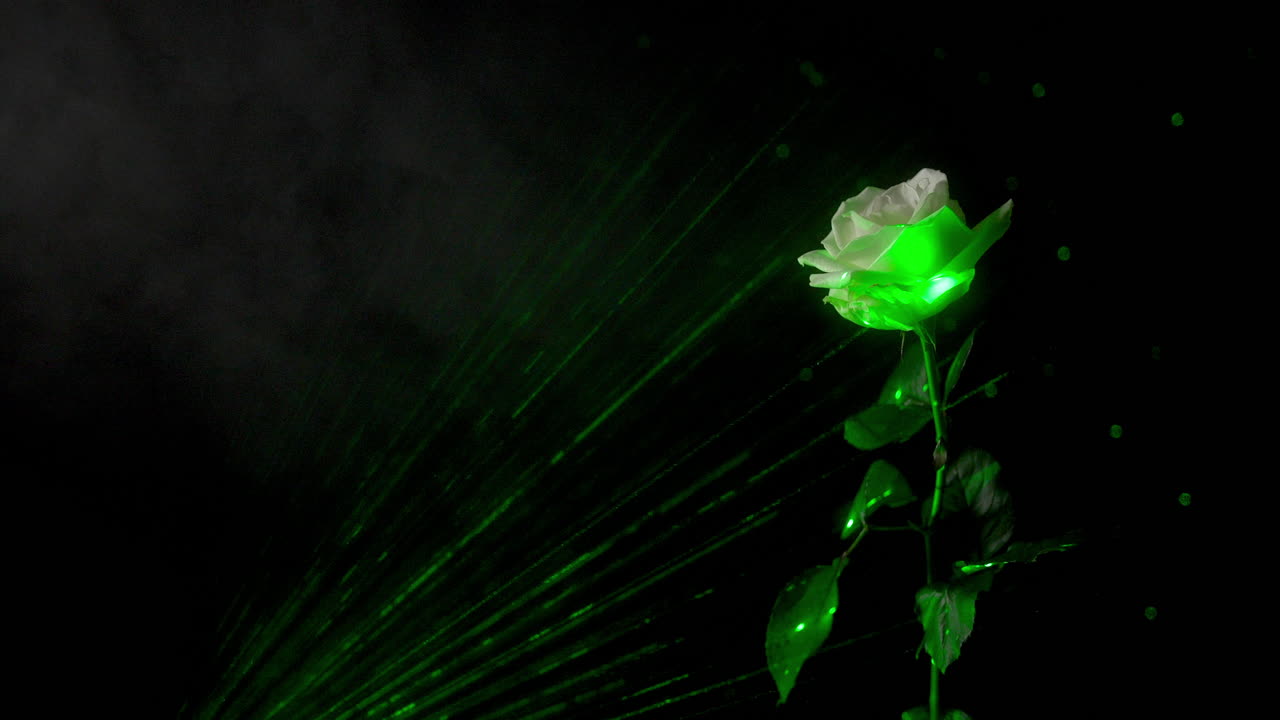 rosa blanca mágica con tallo en un bosque oscuro y encantado con luz verde y rayos.
