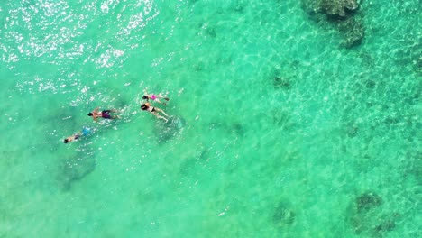 Young-people-swim-on-green-turquoise-calm-shallow-lagoon,-watching-beautiful-rocks,-corals-and-tropical-fish-under-water-in-Fiji-islands