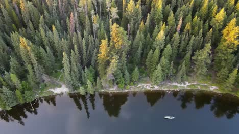 Stunning-tree-lined-shore-of-Cobb-Lake-near-Prince-George-in-the-countryside-of-British-Columbia,-Canada