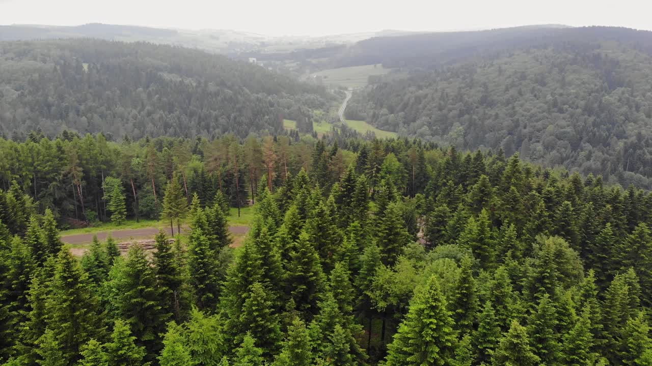 Monti Bieszczady: paesaggio ondulato di lussureggiante foresta verde, vista aerea