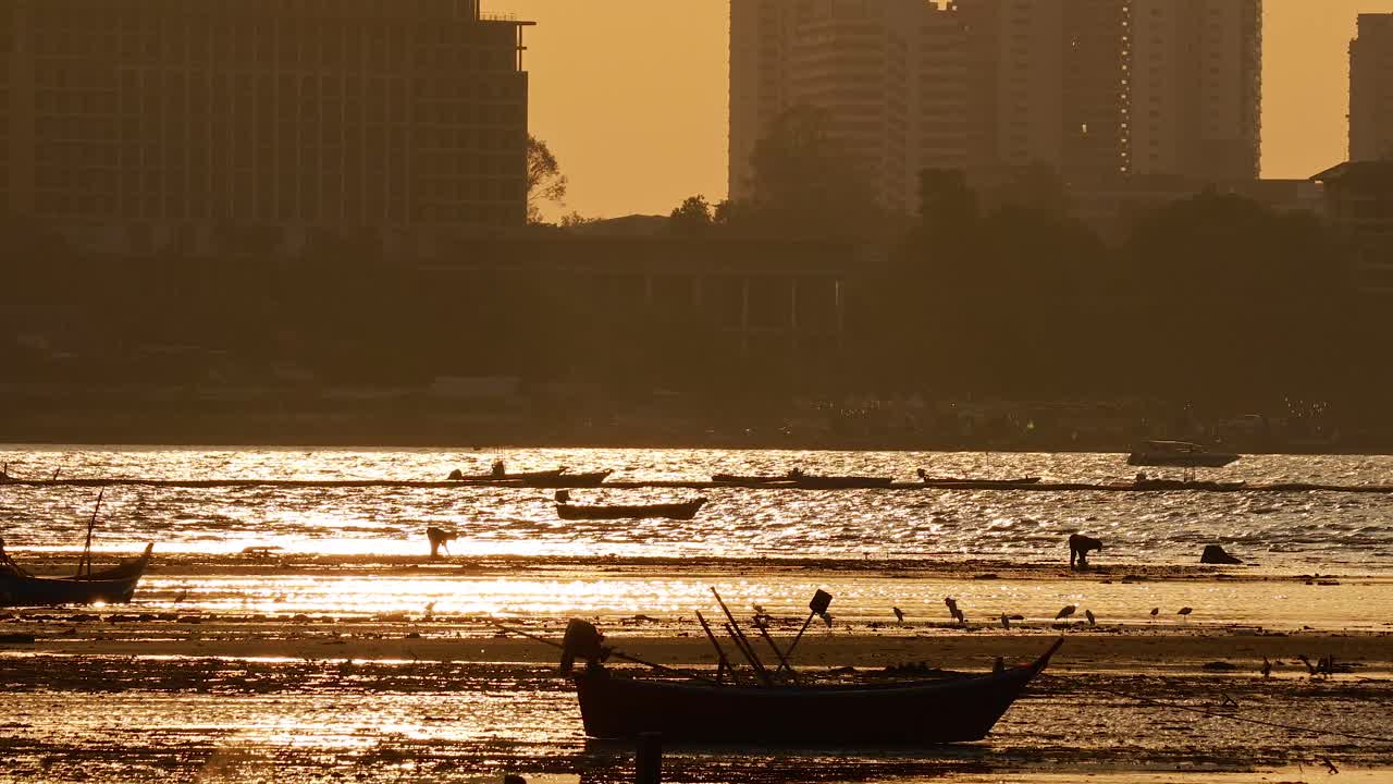 황금빛 해가 지는 것에 비해 보트의 실루이