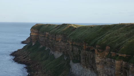 disparo lento de pájaros volando alrededor de un acantilado oceánico en yorkshire