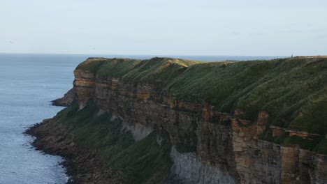 slow panning shot of birds flying around a ocean cliff face in yorkshire