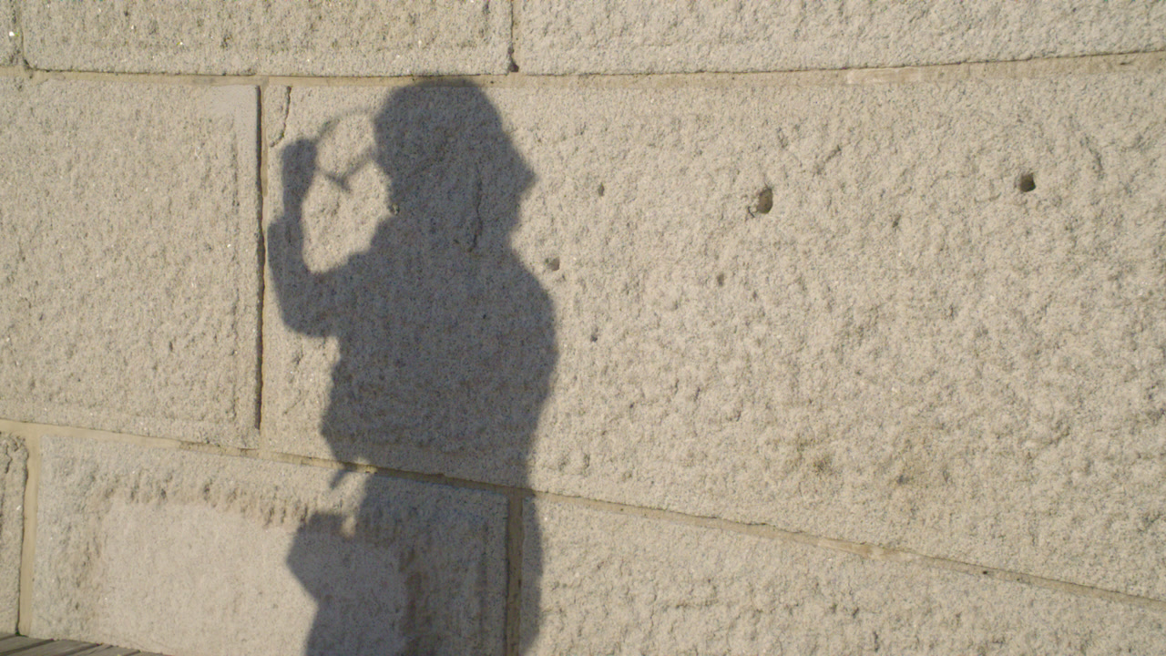A shadow of a woman adjusting her sunglasses cast on a brick wall. Shot at sunset in slow motion in New York City.
