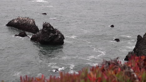 Agua-Chocando-Contra-Las-Rocas-En-El-Acantilado-Northorn-De-California-En-Una-Lúgubre,-Neblinosa-Y-Oscura-Tarde-De-Verano