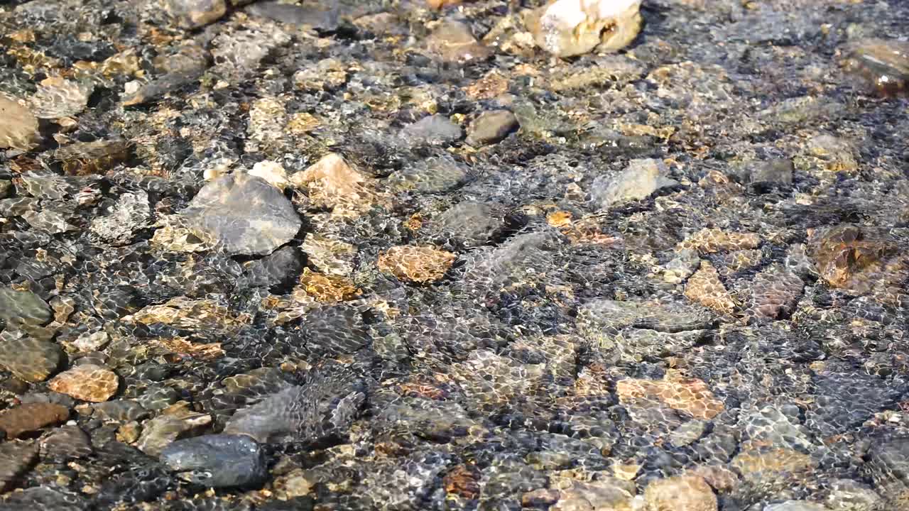 Sunlit forest creek with clear water flowing over colorful rocks and pebbles, gentle camera movement