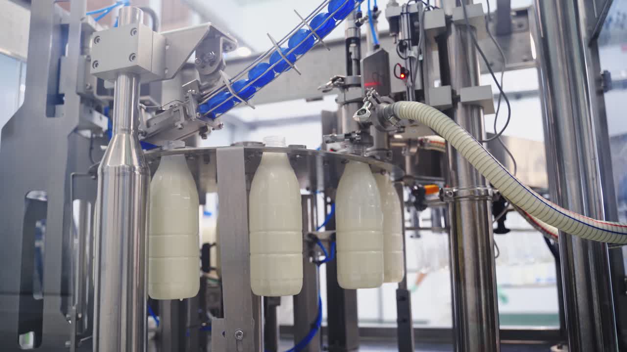 Robotic equipment for bottling milk. Manufacturing process of pouring milk into bottles on a dairy factory. Dairy production.