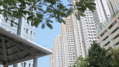 The towering architecture of Hong Kong&#039;s white skyscrapers