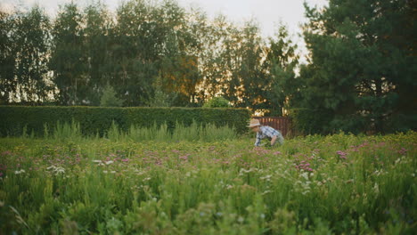 woman gardening in a flower field