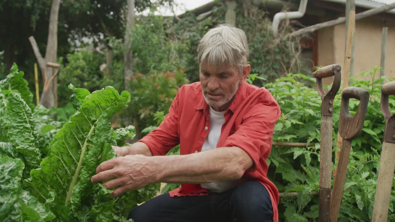 정원에서 혼자 일하는 미소 짓는 고위 백인 남자의 초상화