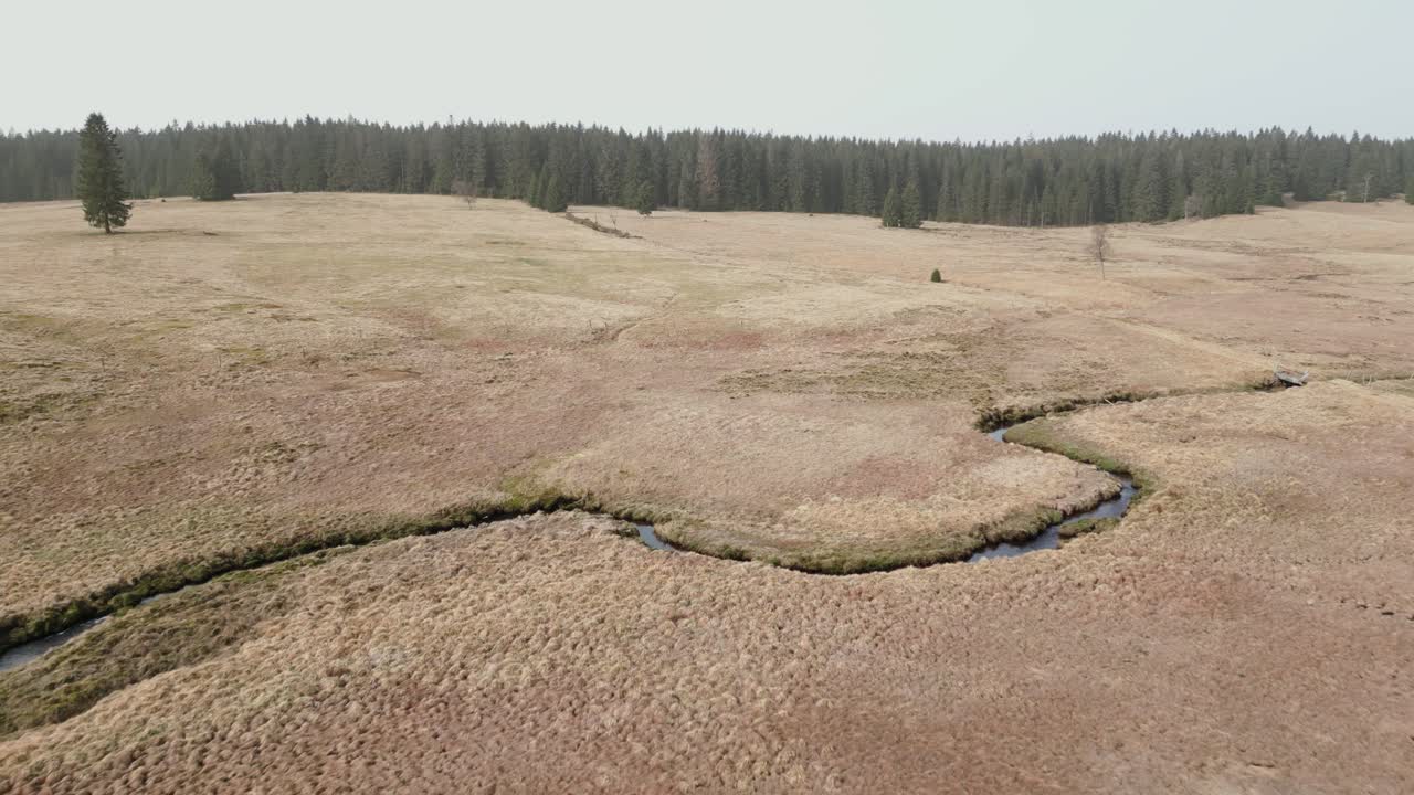 пейзаж крузе-гори характеризуется открытым полем с травяными участками, извилистым ручьем и далеким лесом под чистым небом.