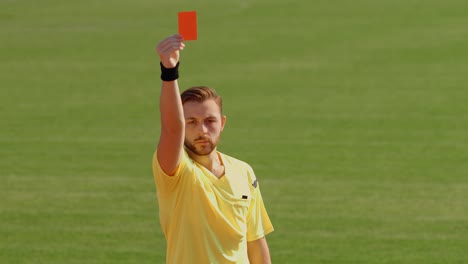 football soccer referee shows penalty yellow and red card, 75fps