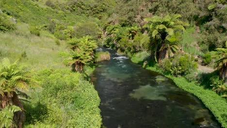 flying over pristine clear blue spring putaruru in new zealand