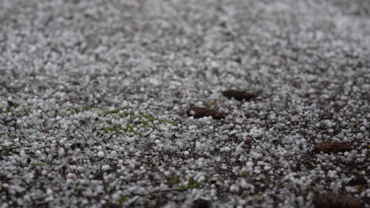 팝콘 우박의 튀는 알갱이가 땅을 덮고, 갑작스럽고, 예상치 못한 근접 촬영