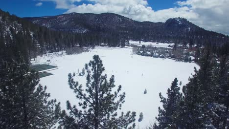 Una-Hermosa-Antena-Sobre-Pinos-En-Invierno-Revela-Una-Orilla-Nevada-Del-Lago-Tahoe-1