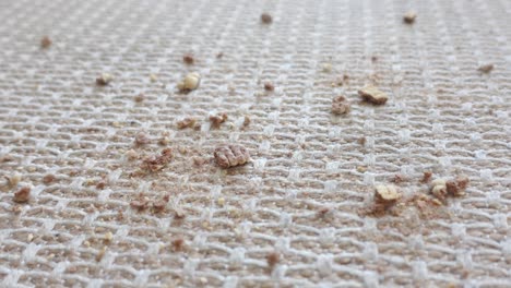 crumbs on woven fabric