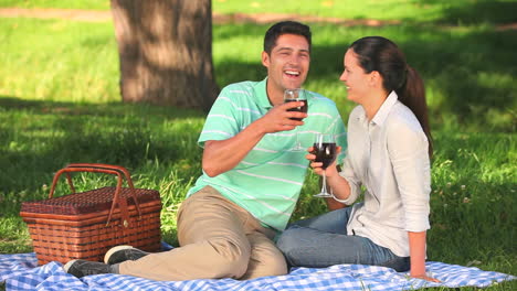 couple drinking red wine on a picnic