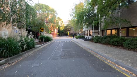 camino vacío del campus rodeado de vegetación