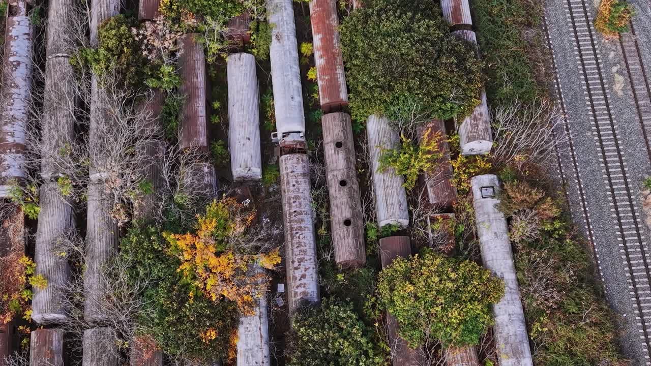 Forladte togvogne overgroet med planter i Grækenland