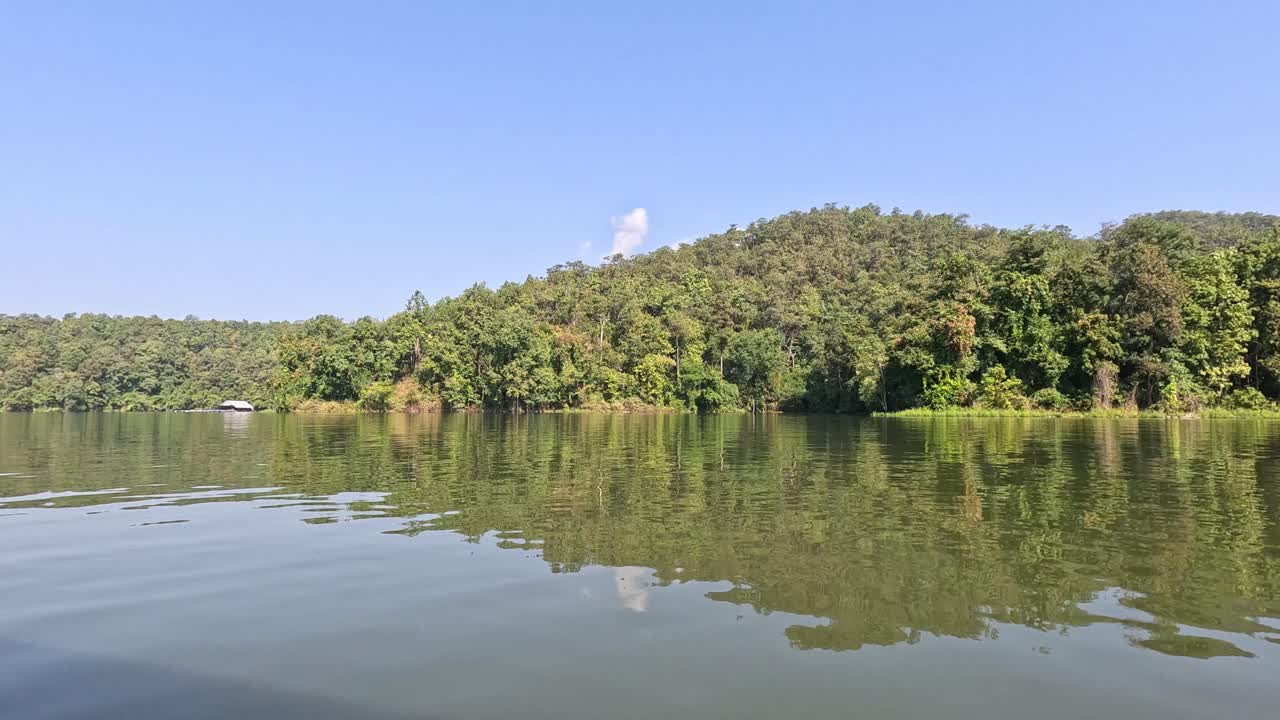 agua tranquila que refleja un bosque verde exuberante