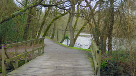 Wooden-Footbridge-With-Moss-Covered-Old-Trees-Near-A-Lake-In-A-Forest