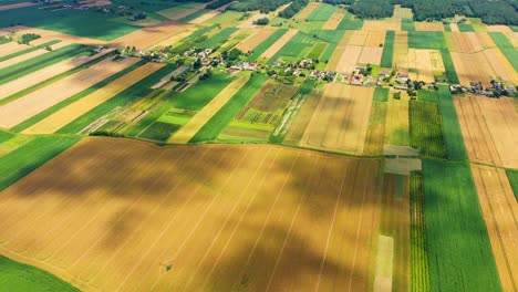 Vertikale-Streifen-Von-Landwirtschaftlichen-Parzellen-Verschiedener-Kulturen