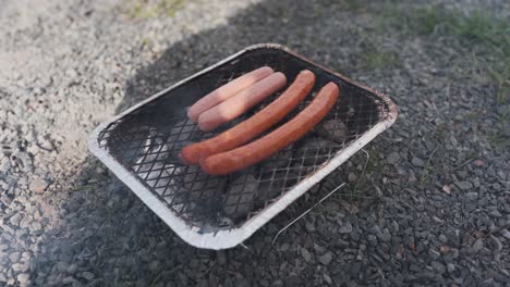 close up of a disposable barbecue grill with two normal hotdogs made from meat and two vegan hotdogs made from soy