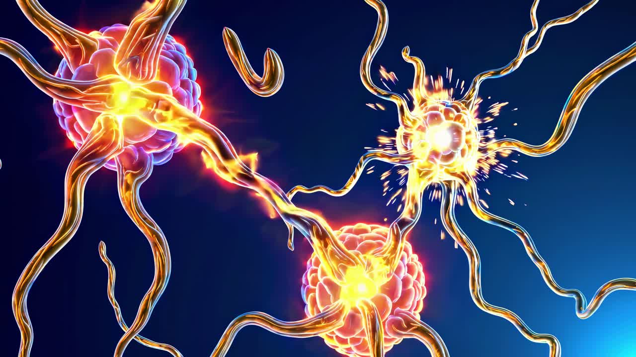 Neuronal Synaptic Activity Visualization