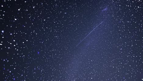 a mesmerizing video of a starry night sky captured from a low-angle view, showcasing countless