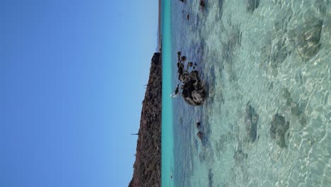 Sea-gull-standing-on-a-rock-surrounded-by-crystal-clear-beach-water-in-Isla-Coronado,-Loreto,-BCS,-Mexico