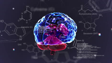 animación del procesamiento de datos sobre el cerebro humano en fondo oscuro