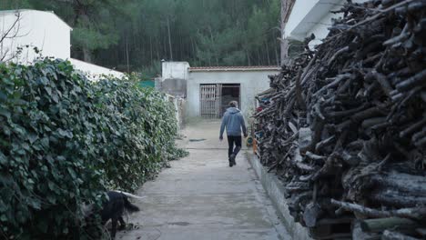man walking down a path in a rural setting with a dog