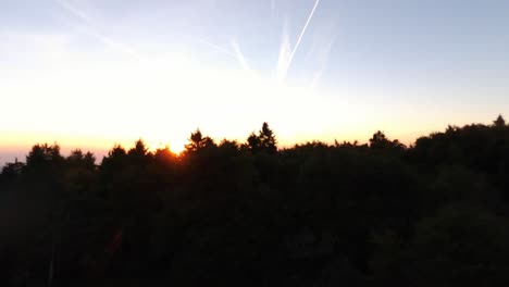 Fliegen-In-Richtung-Sonne-über-Wald