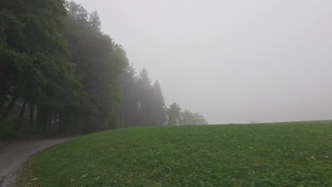 dirt road in the middle of forest, trees and green fields, cloudy day