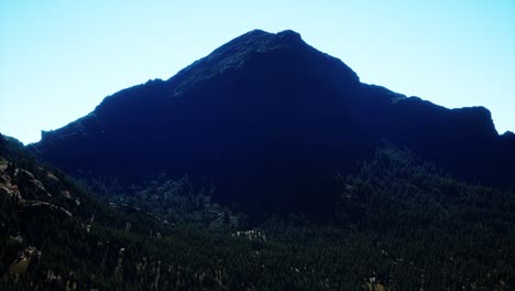 Panorama-Des-Kegelwaldes-In-Den-Bergen