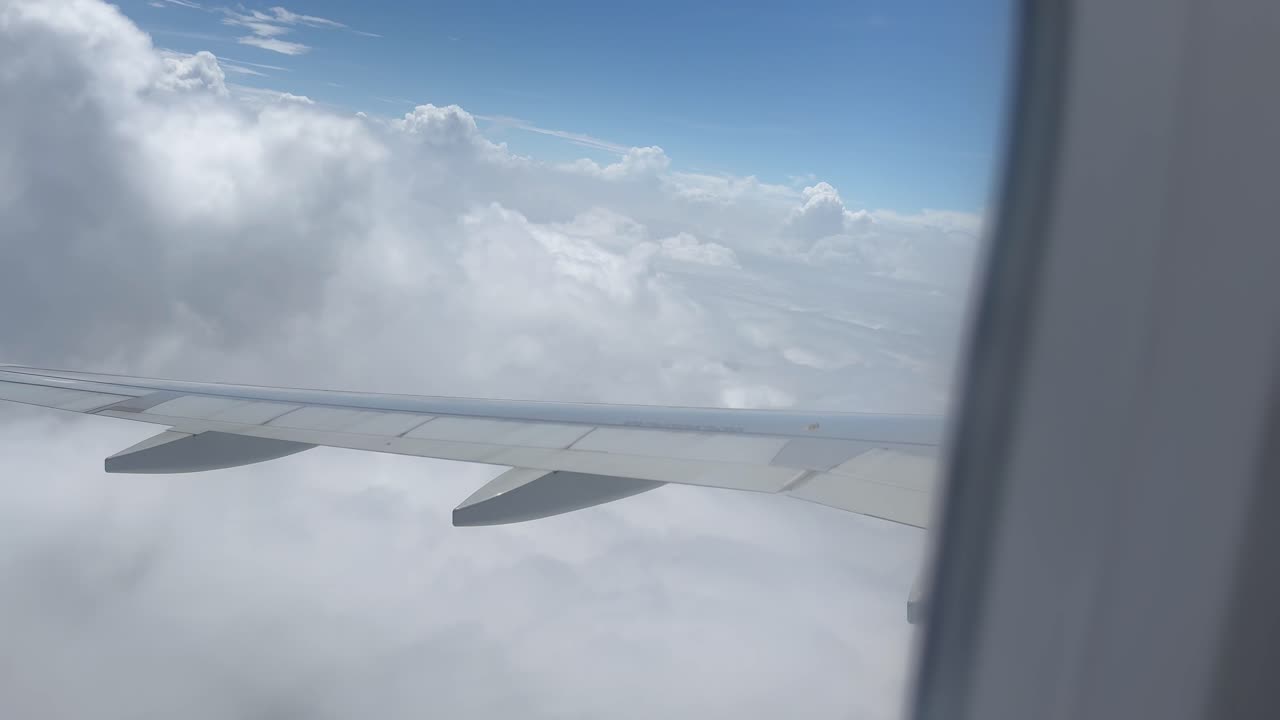 날개, 파란 하늘, 부드러운  구름이 있는 비행기 창문의 평화로운 전망