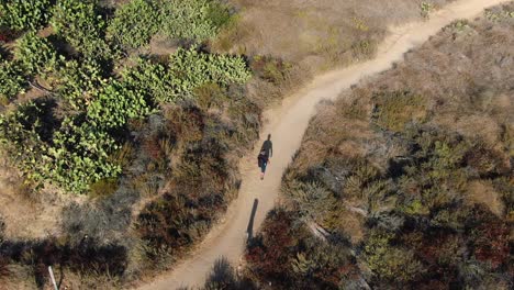 Disparo-De-Dron,-De-Un-Excursionista-Solitario,-Caminando-Por-Un-Sendero