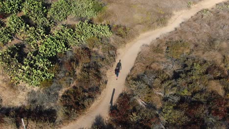 disparo de dron, de un excursionista solitario, caminando por un sendero