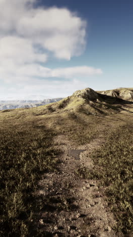 a scenic view of a grassy field with a trail leading towards a mountain in the distance