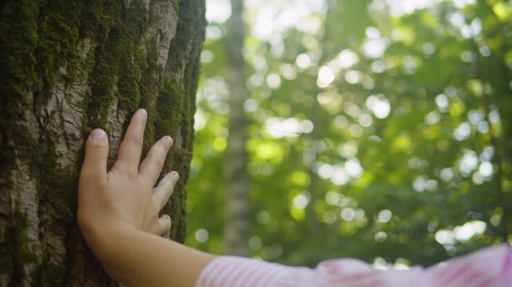 Touching a tree on sunny day in the park close up macro. Woman in the forest friendly hugs a tree. Calm meditation