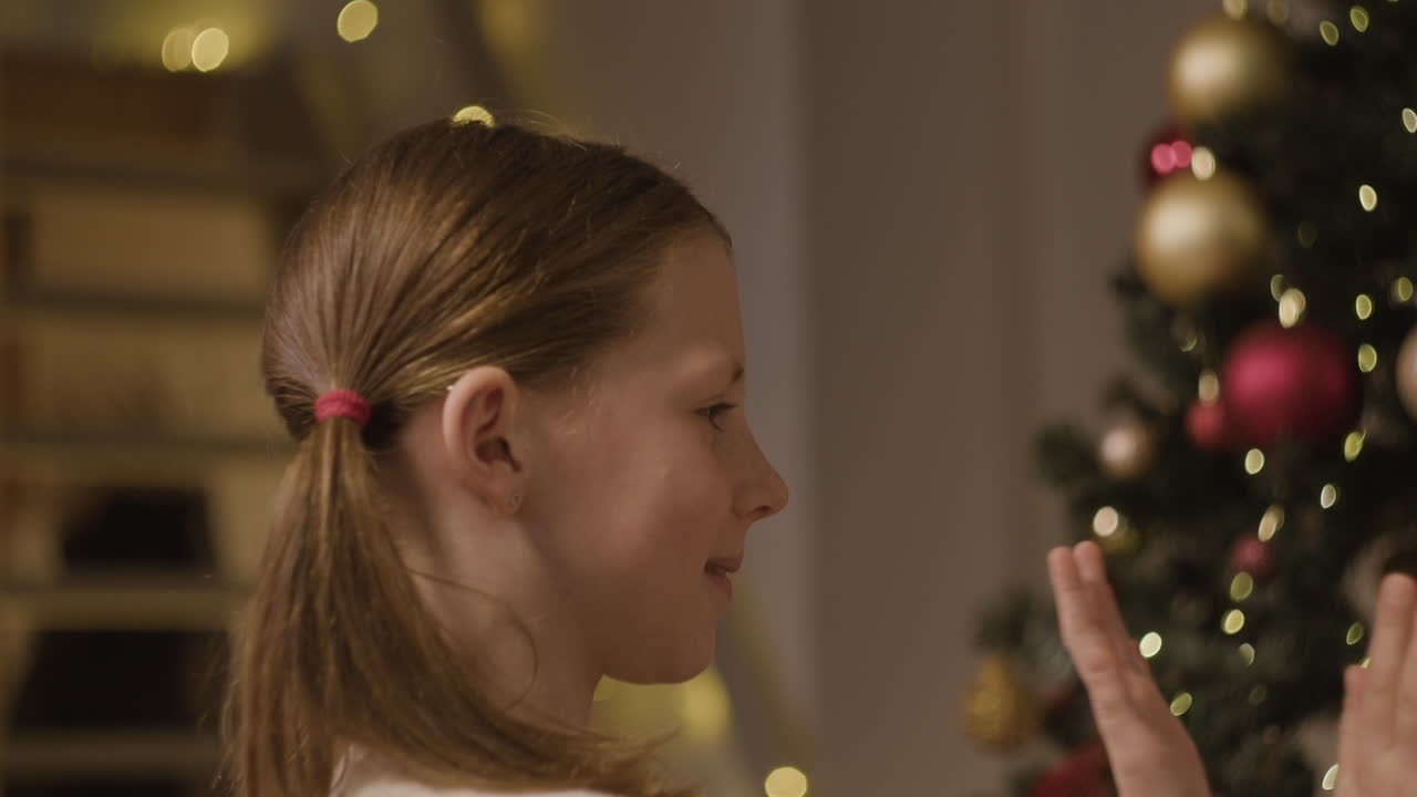 Christmas family portraits