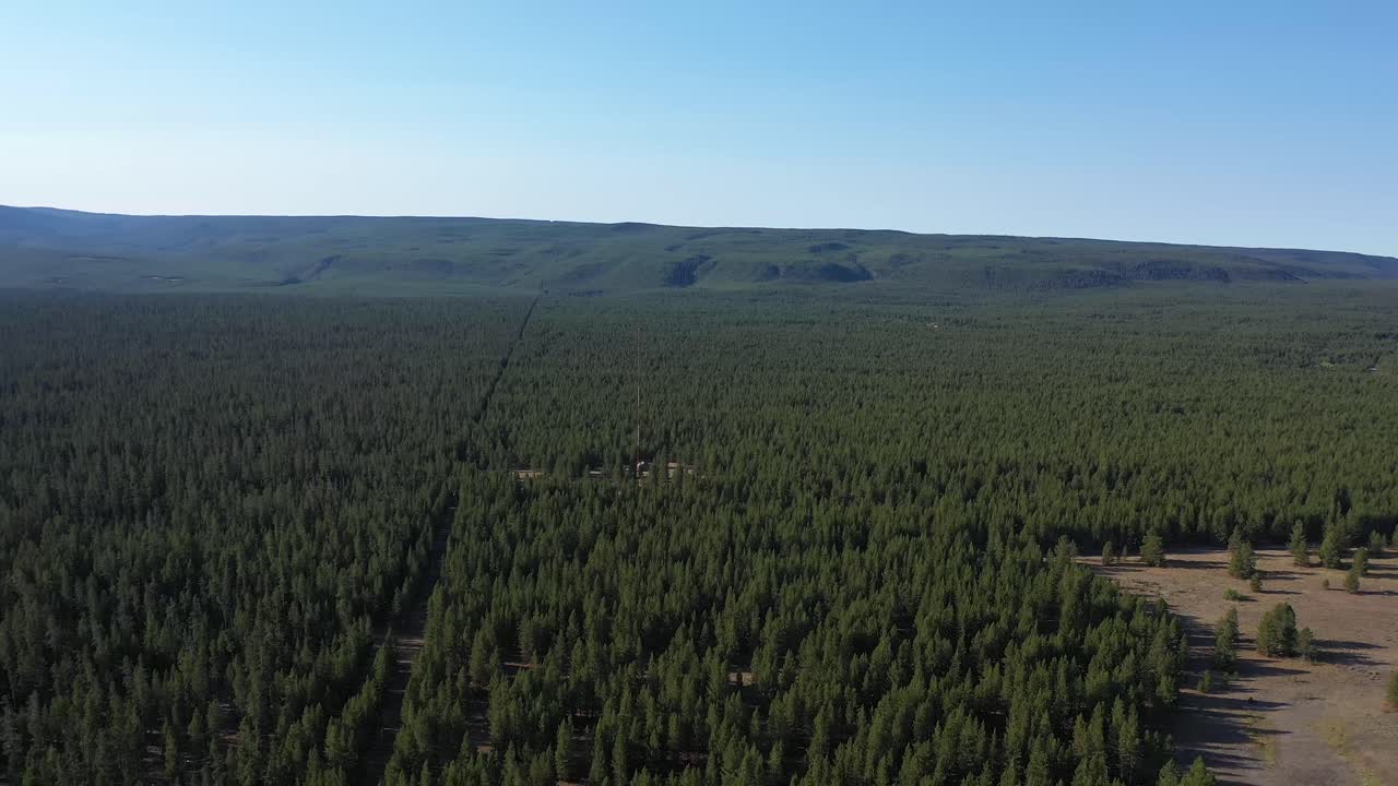 Aerial drone backwards shot taken from West Yellowstone, showing forest and trees of the famous National Park.