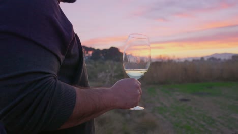 hombre parado en el campo para una cata de vinos al atardecer