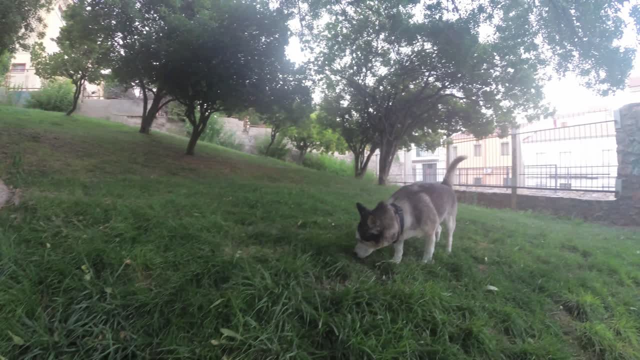 하엔 스페인 도심과 거리 4k 24fps에서 안달루시아 스페인의 이 오래된 도시에 대한 일부 전망